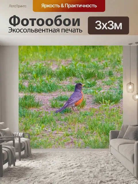 Фотообои Птицы