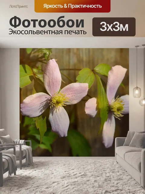 Фотообои Расцветает