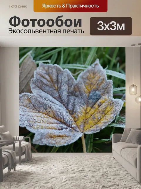 Фотообои Морозный