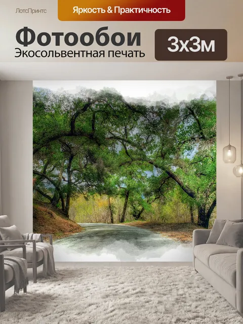 Фотообои Проселочная дорога