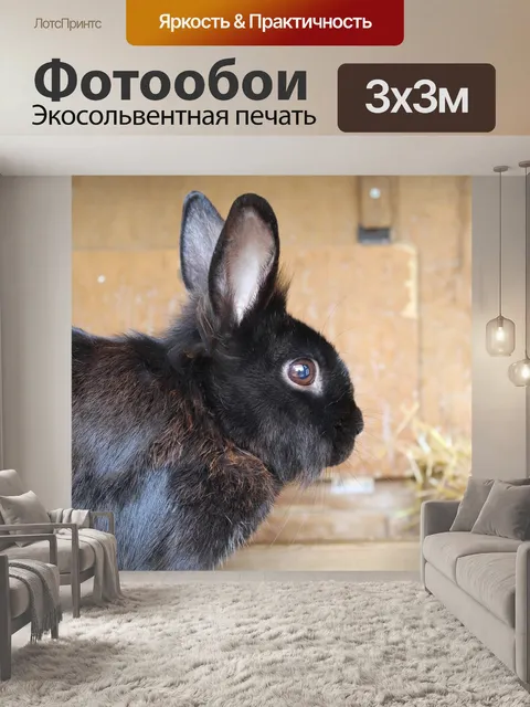 Фотообои Кролик