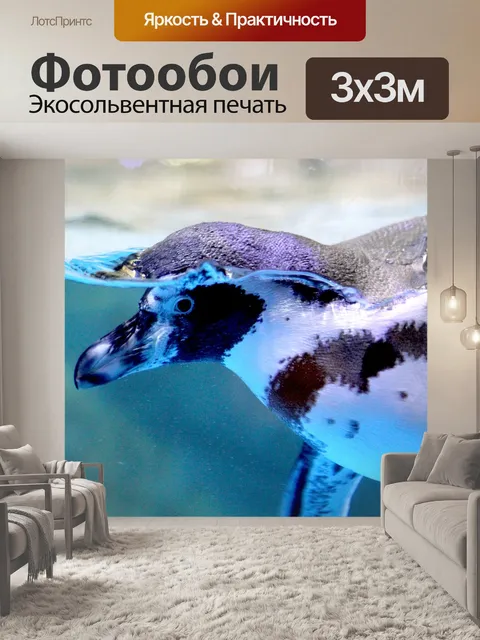 Фотообои Пингвин