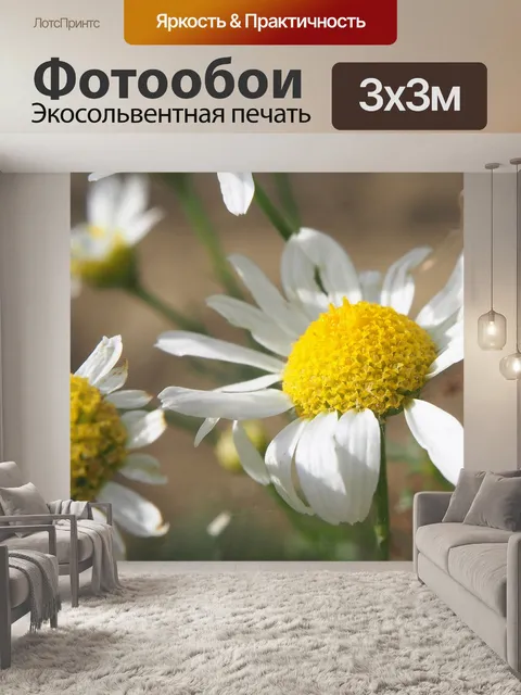 Фотообои Цветок