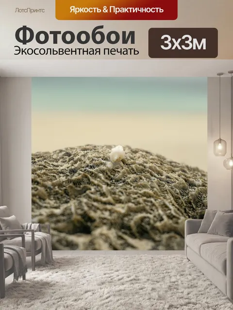 Фотообои Коралл