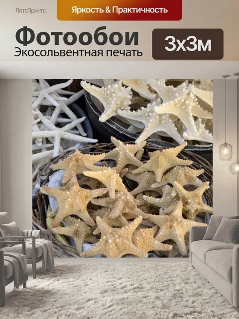 Фотообои Морская звезда фон