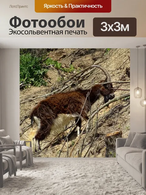 Фотообои Горный козел на крутом подъеме