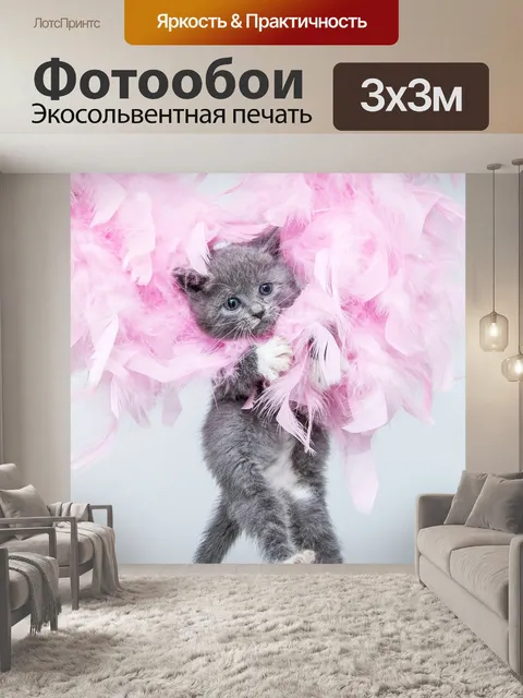 Фотообои Котенок