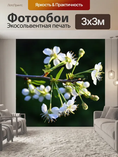 Фотообои Дача