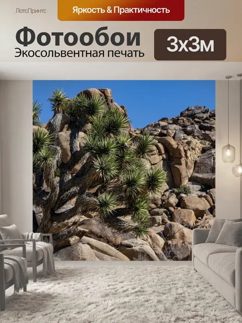 Фотообои Джошуа Три