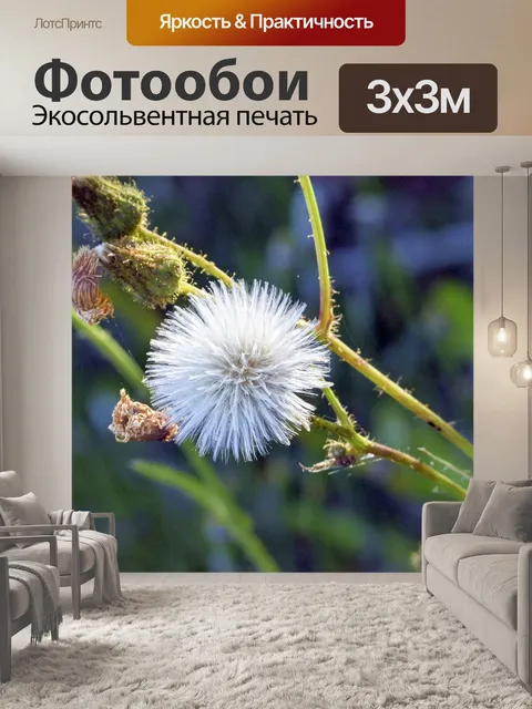 Фотообои Засохший