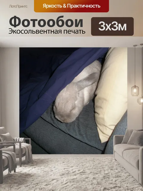 Фотообои Shshsh. Я пытался спать