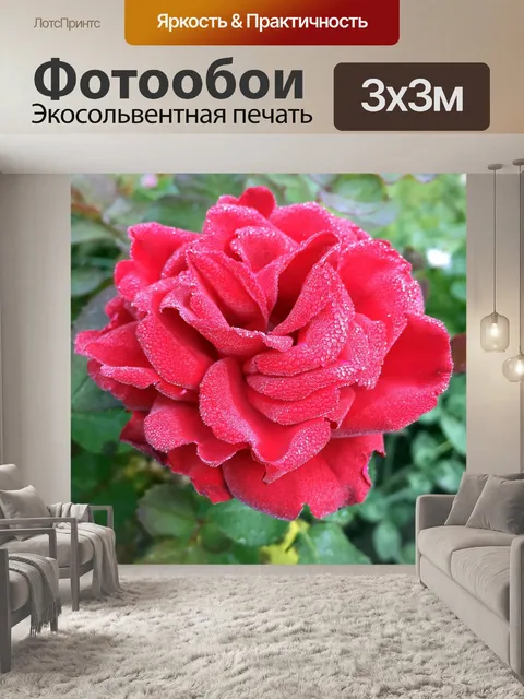 Фотообои Роза
