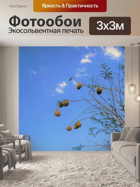 Фотообои ткач гнезда на синем небе