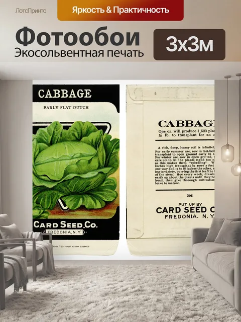 Фотообои Пакет семян винтажной капусты