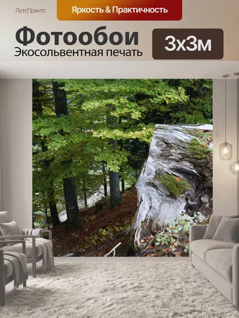 Фотообои Лес
