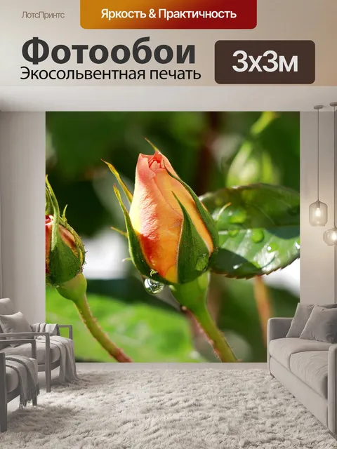 Фотообои Розы