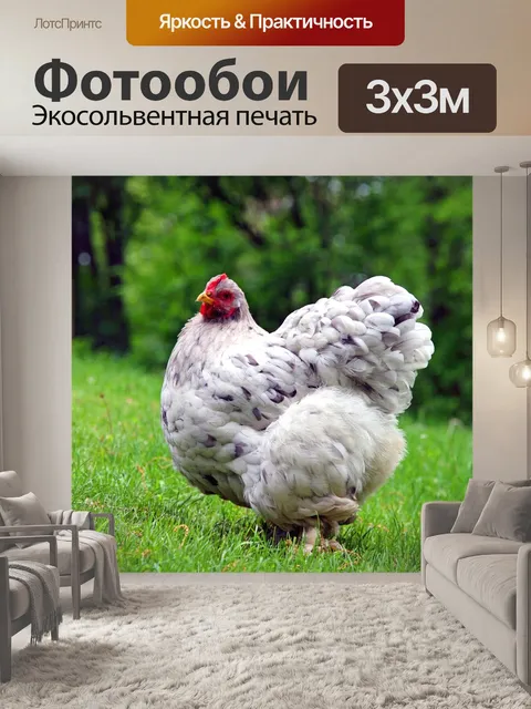 Фотообои Еда