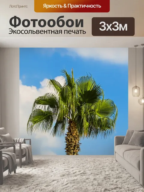 Фотообои Пальма