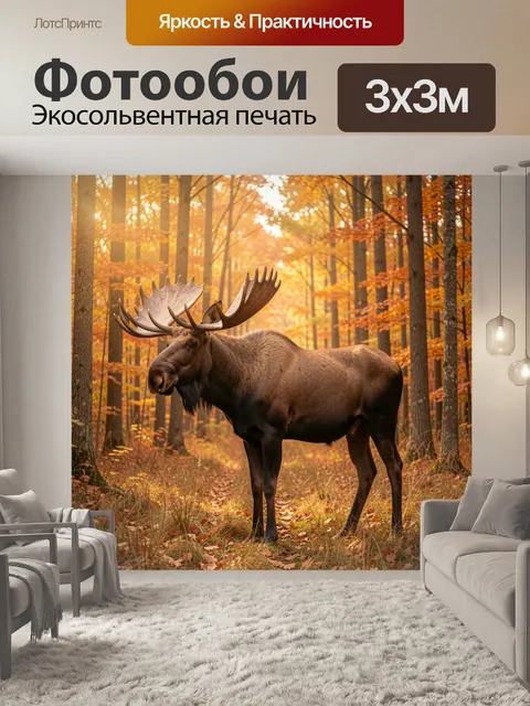 Фотообои Лось в осеннем лесу