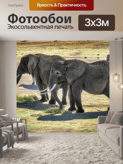 Фотообои Два слона