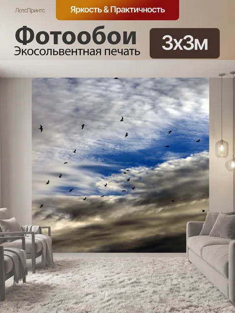 Фотообои Птицы