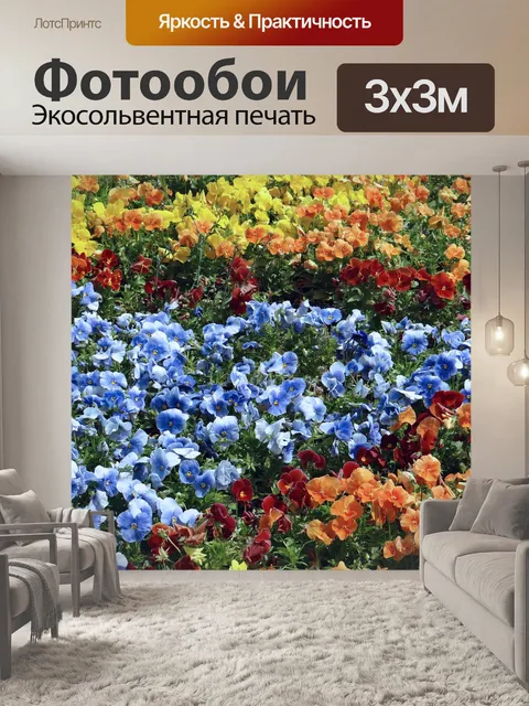 Фотообои Море Анютины глазки