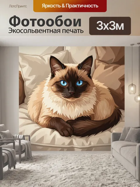 Фотообои Сиамский кот на подушках