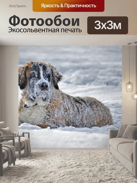 Фотообои Снег