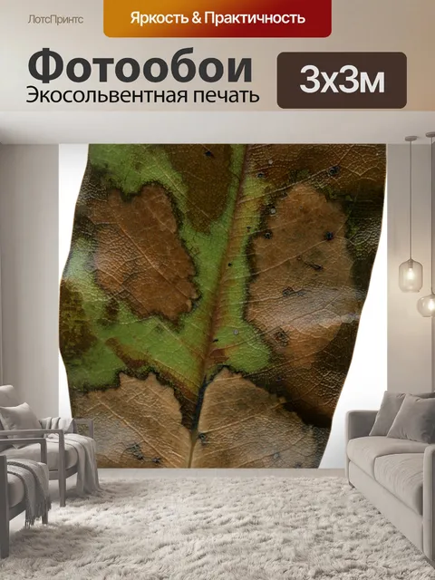 Фотообои Лист магнолии