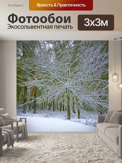 Фотообои лес с зимним лесом, белым снегом, покрывающим ветви деревьев и землю