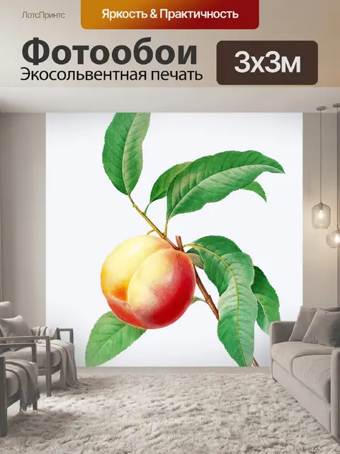 Фотообои Персиковый фрукт винтажное искусство