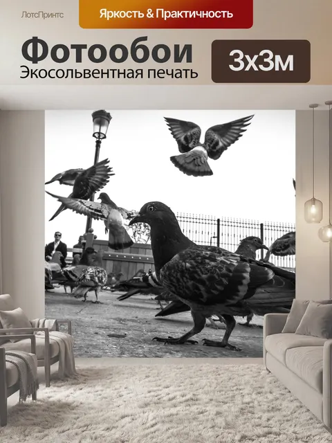Фотообои Голубь