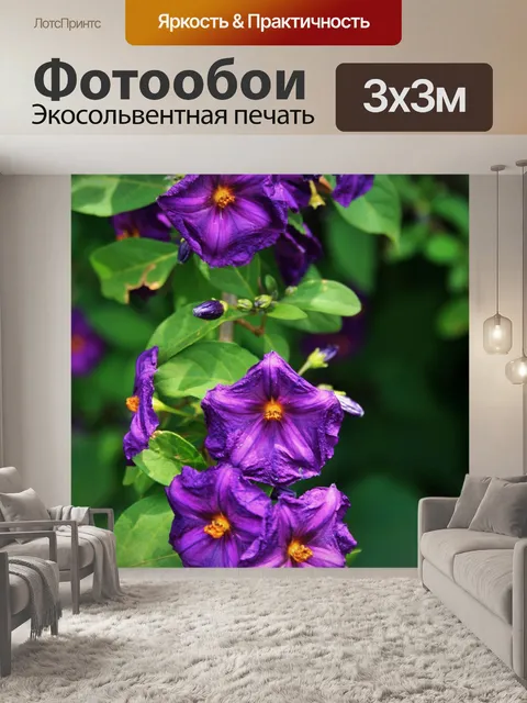 Фотообои фиолетовые цветы на картофельном кусте