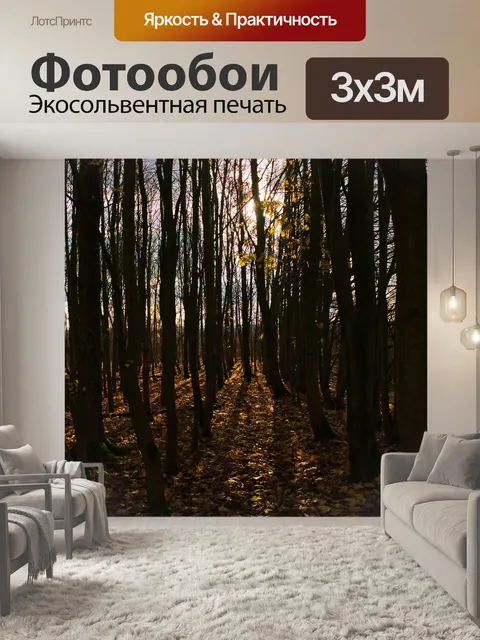 Фотообои Осень
