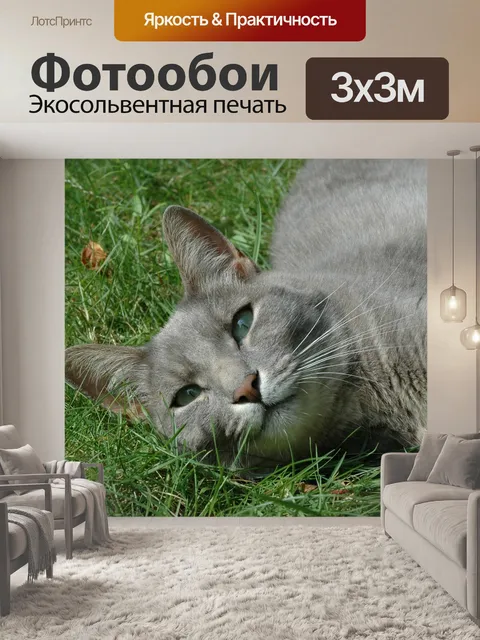 Фотообои Расслабляющий