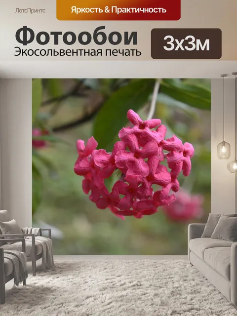 Фотообои Красные цветы