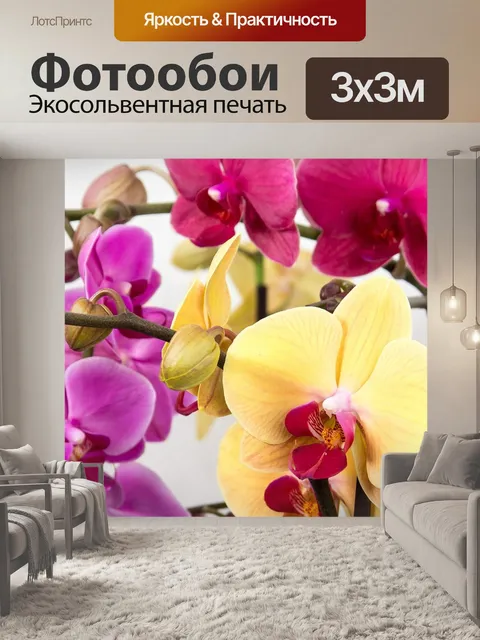 Фотообои Орхидея