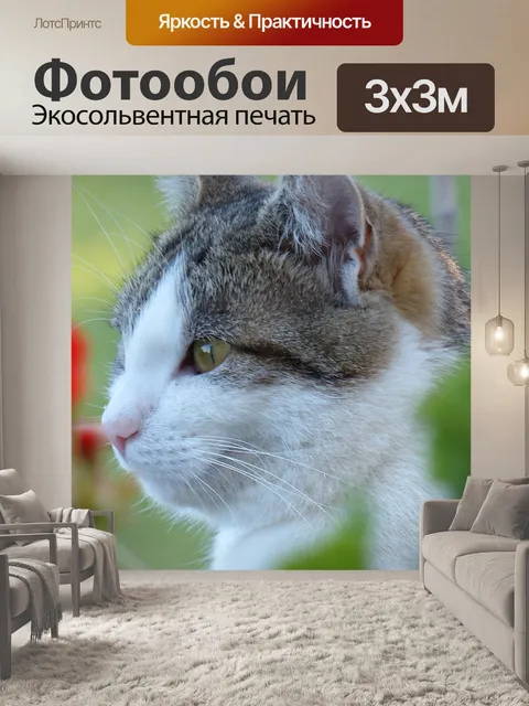 Фотообои Кошка
