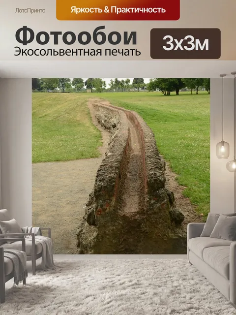 Фотообои Роман