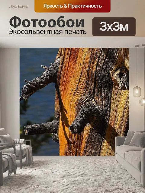 Фотообои Сосна