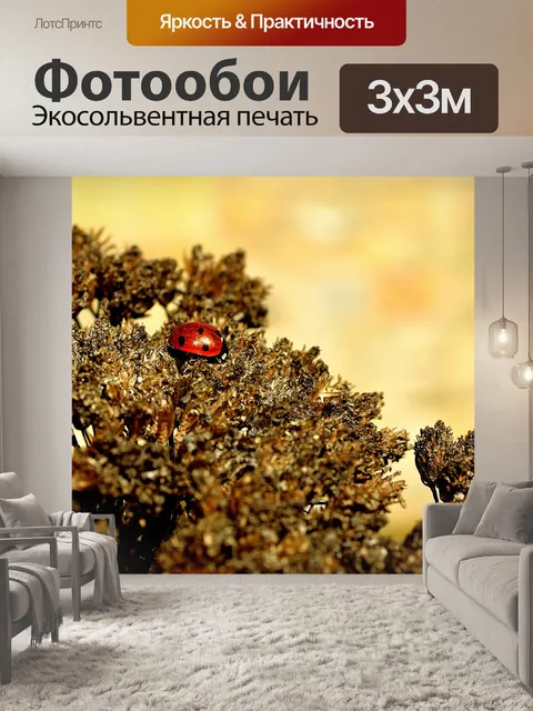 Фотообои Божья коровка