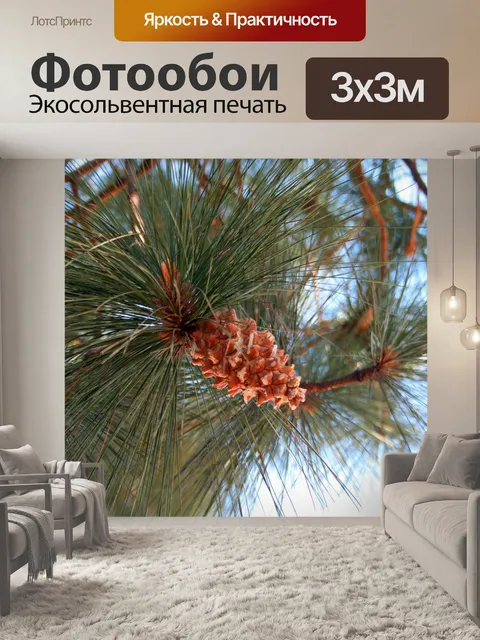 Фотообои хвоя и конус