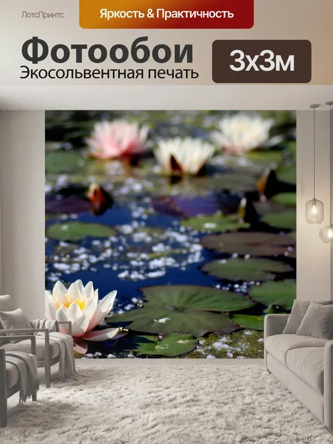Фотообои Водяная лилия