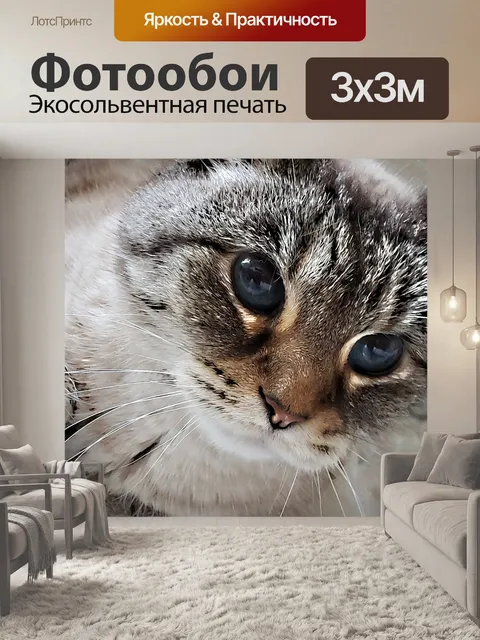 Фотообои часть сиамская кошка