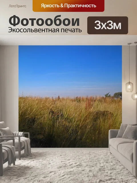 Фотообои луга на вершине холма