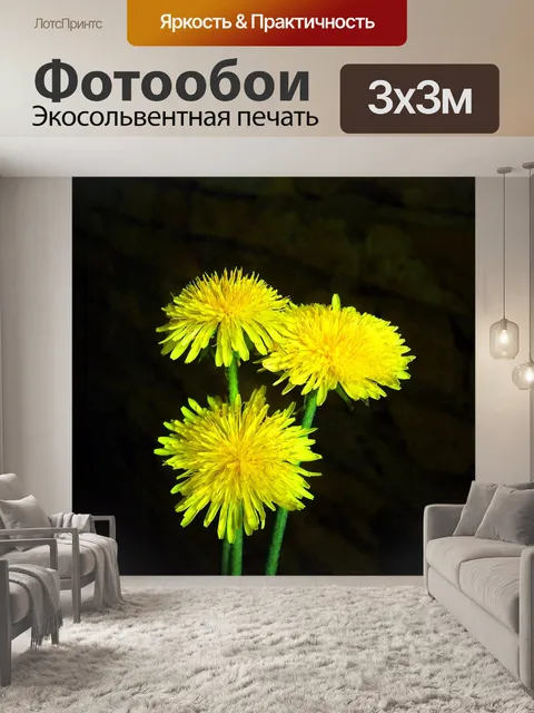 Фотообои Халат одуванчик
