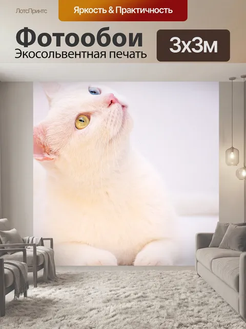 Фотообои Белый