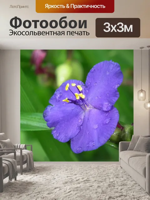 Фотообои Капля дождя