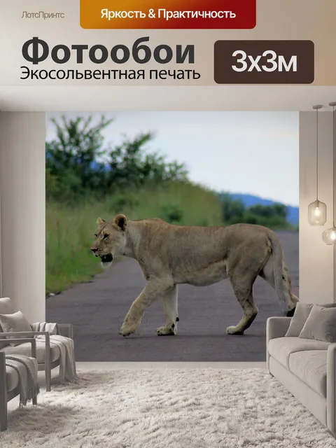 Фотообои Лев