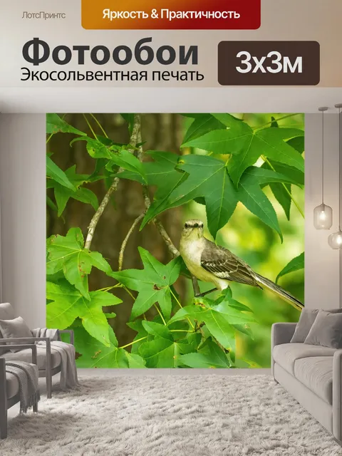 Фотообои Пересмешник